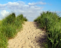 Over the Dune